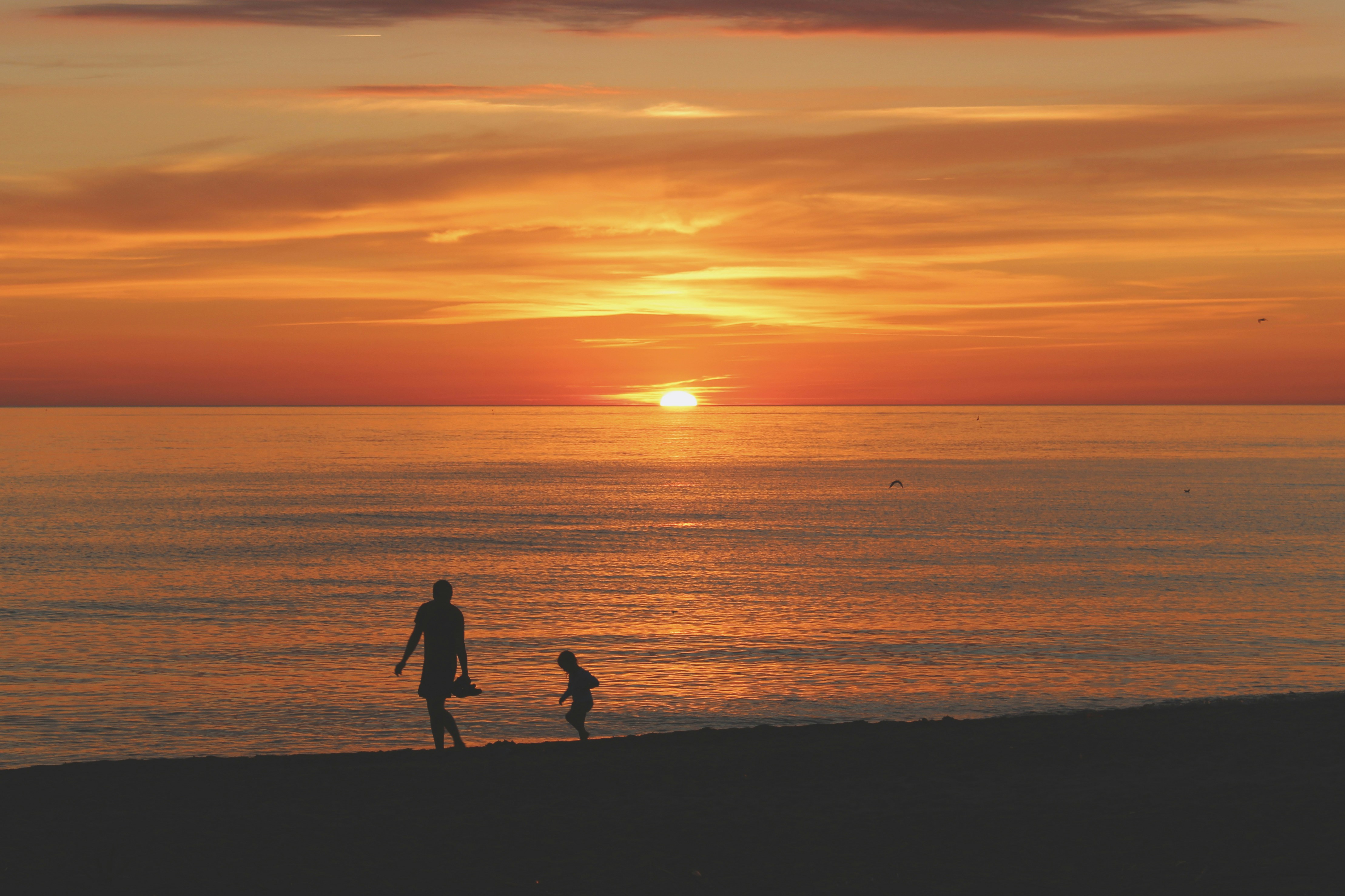 Child Custody Investigations case study