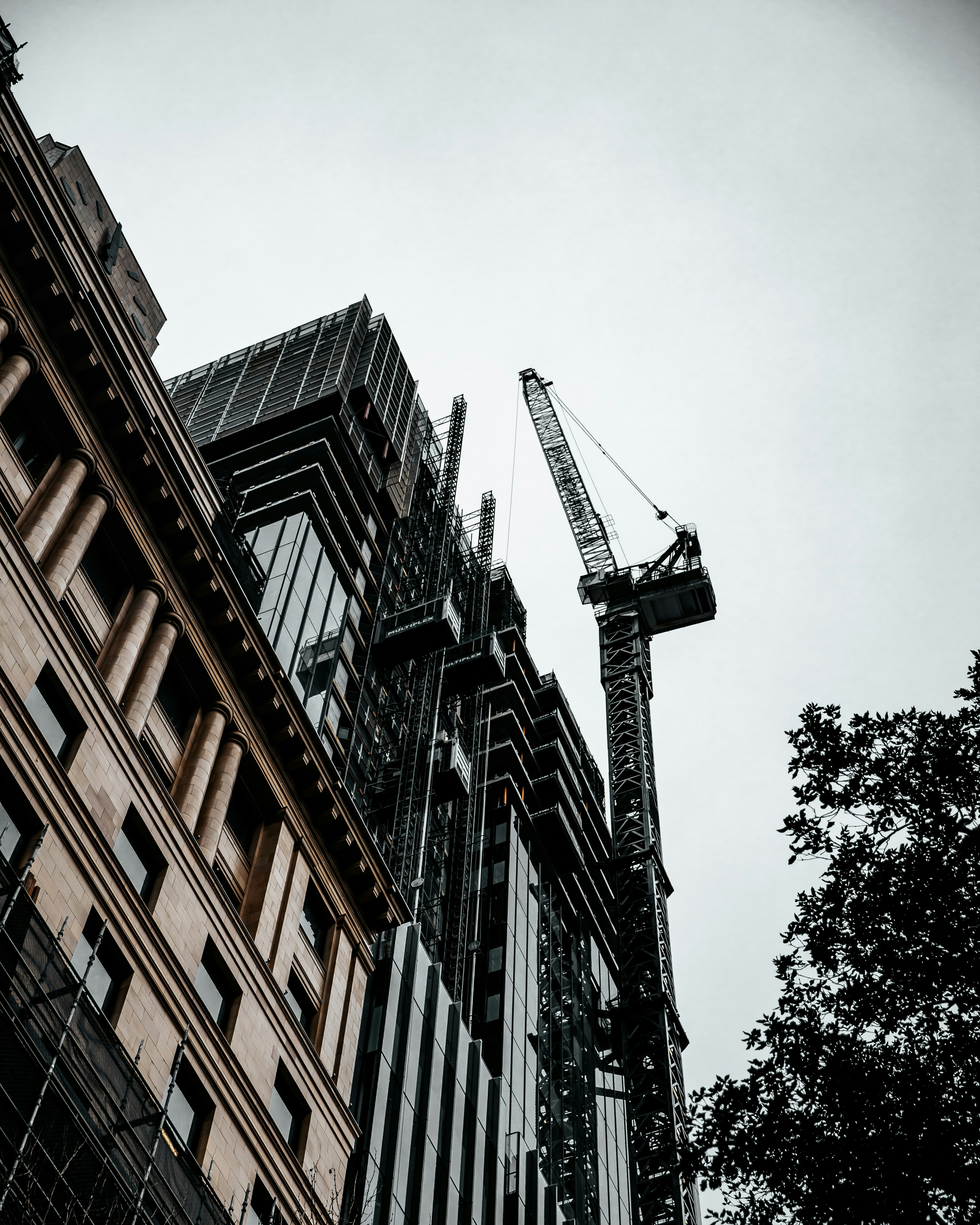 Workers Compensation Fraud case study